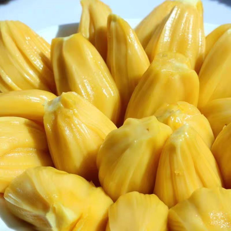 Jackfruit Dried Fruit suppliers Jackfruit Dried Fruit suppliers