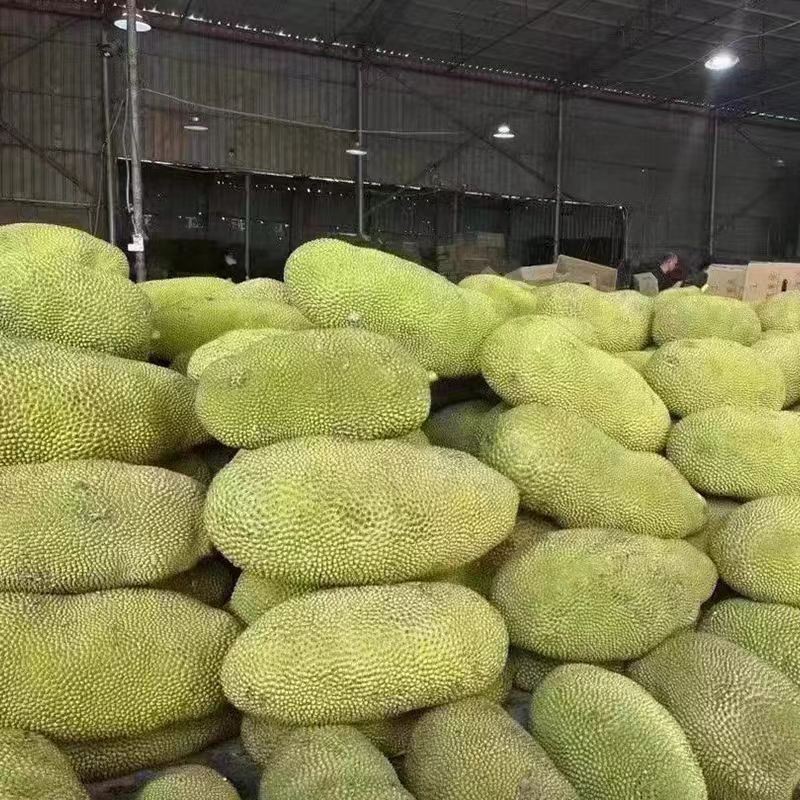 Jackfruit Dried Fruit best Jackfruit Dried Fruit best