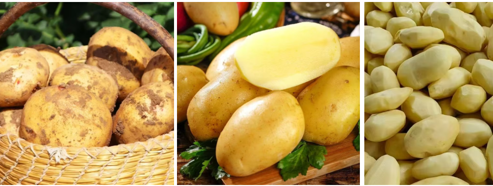 fresh potato fresh potato